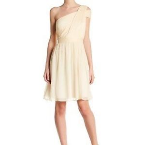 Brand New never been worn J CREW dress